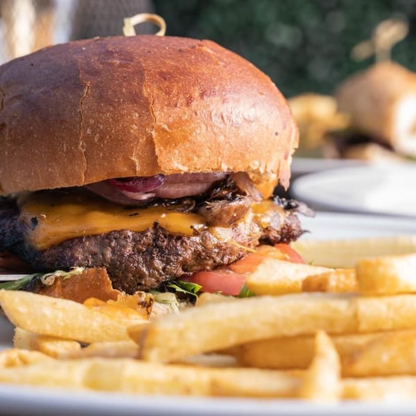 Close-up of a Wildfire Public House burger with cheese, caramelized onions, and fries.